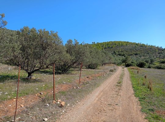 Αγροτεμαχιο στην Περαχωρα Λουτρακιου